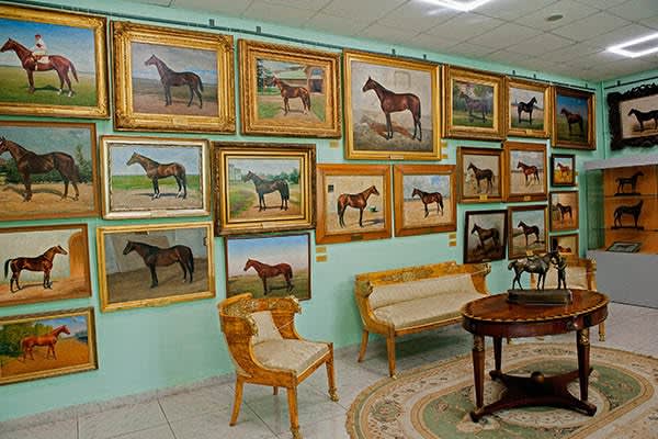 The Akhal-Teke portrait gallery at the Science and Art Museum of Horse Breeding
