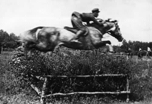 The grey Akhal-Teke stallion Arab jumping cross-country — Akhal-Teke EST archives