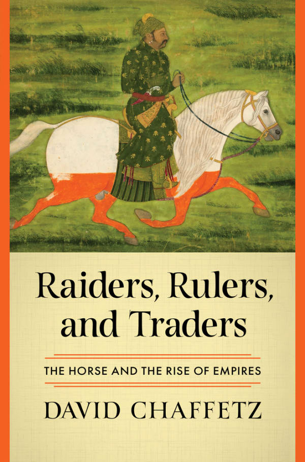 Cover of Raiders, Rulers, and Traders by David Chaffetz