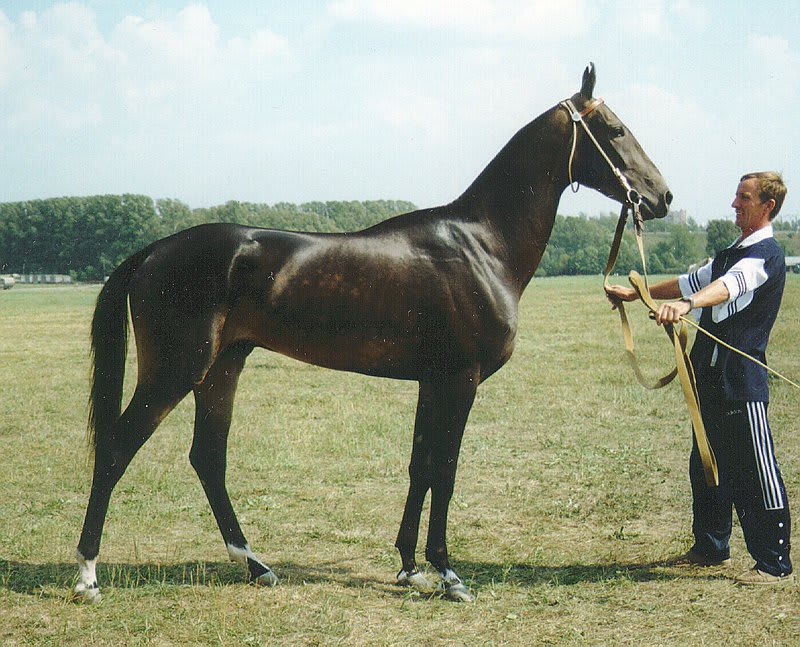 Salyr