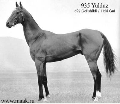 Yulduz