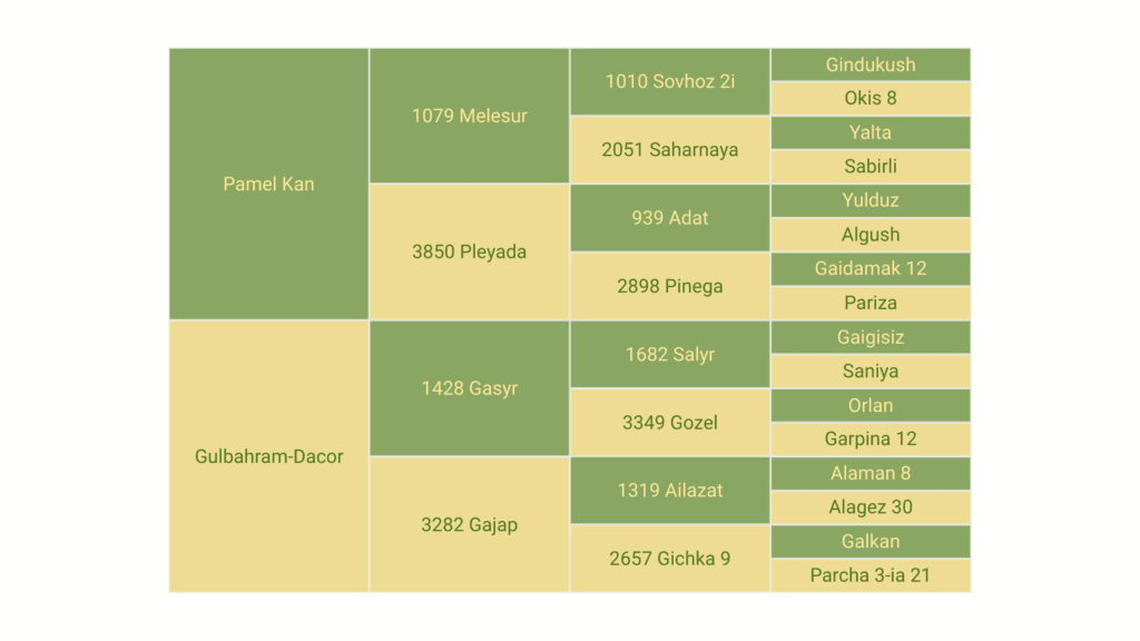 Gappar-Dacor five-generation pedigree