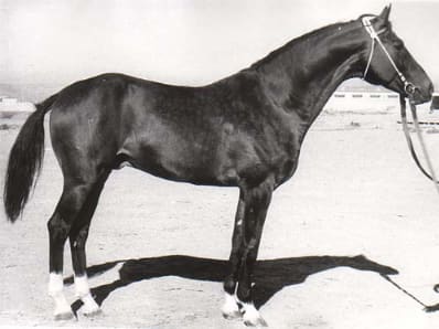 Angar