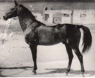 Saphar-Khan