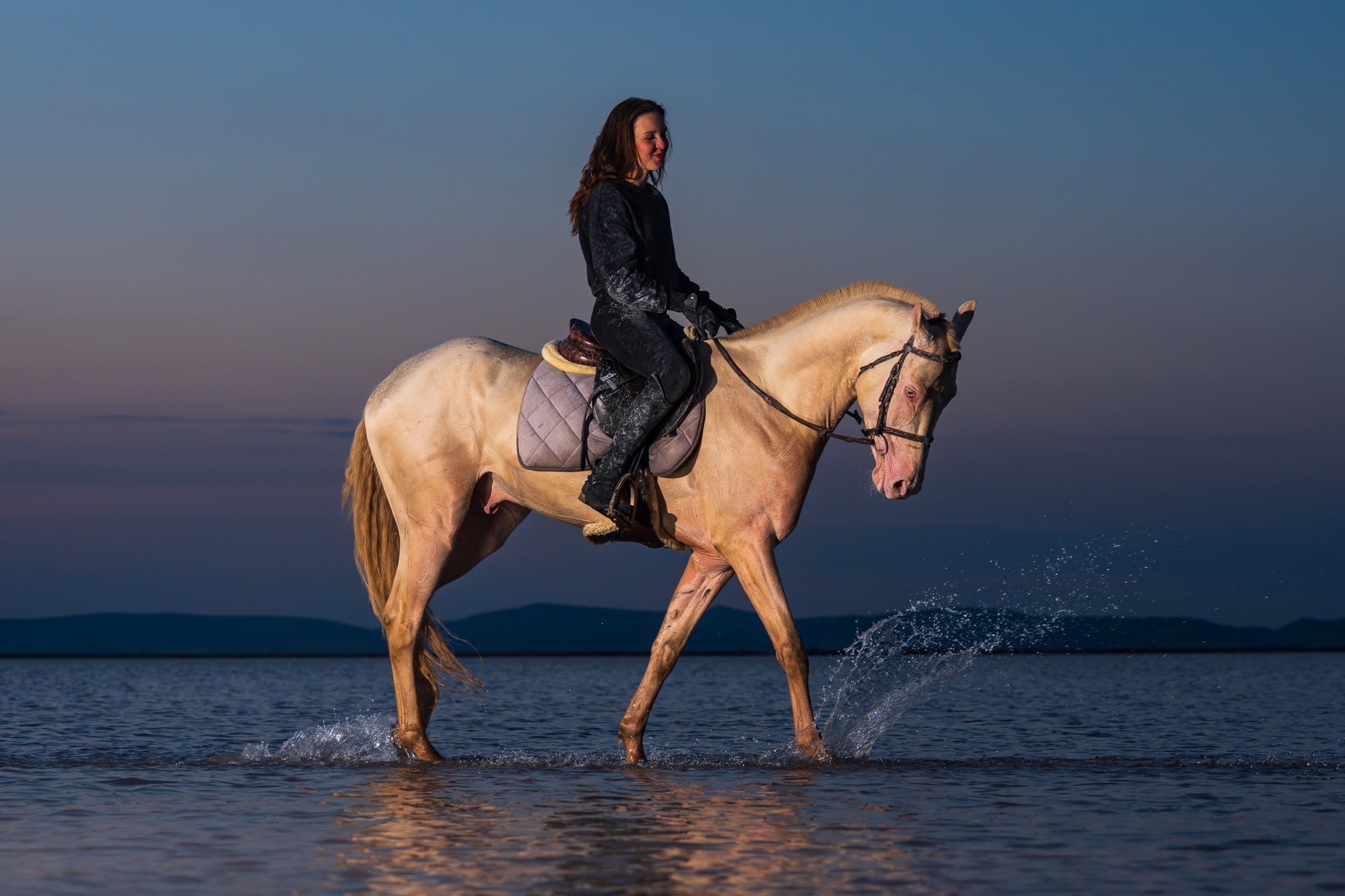 Turkey Akhal-Teke Breeder Interviewed by Daily Sabah