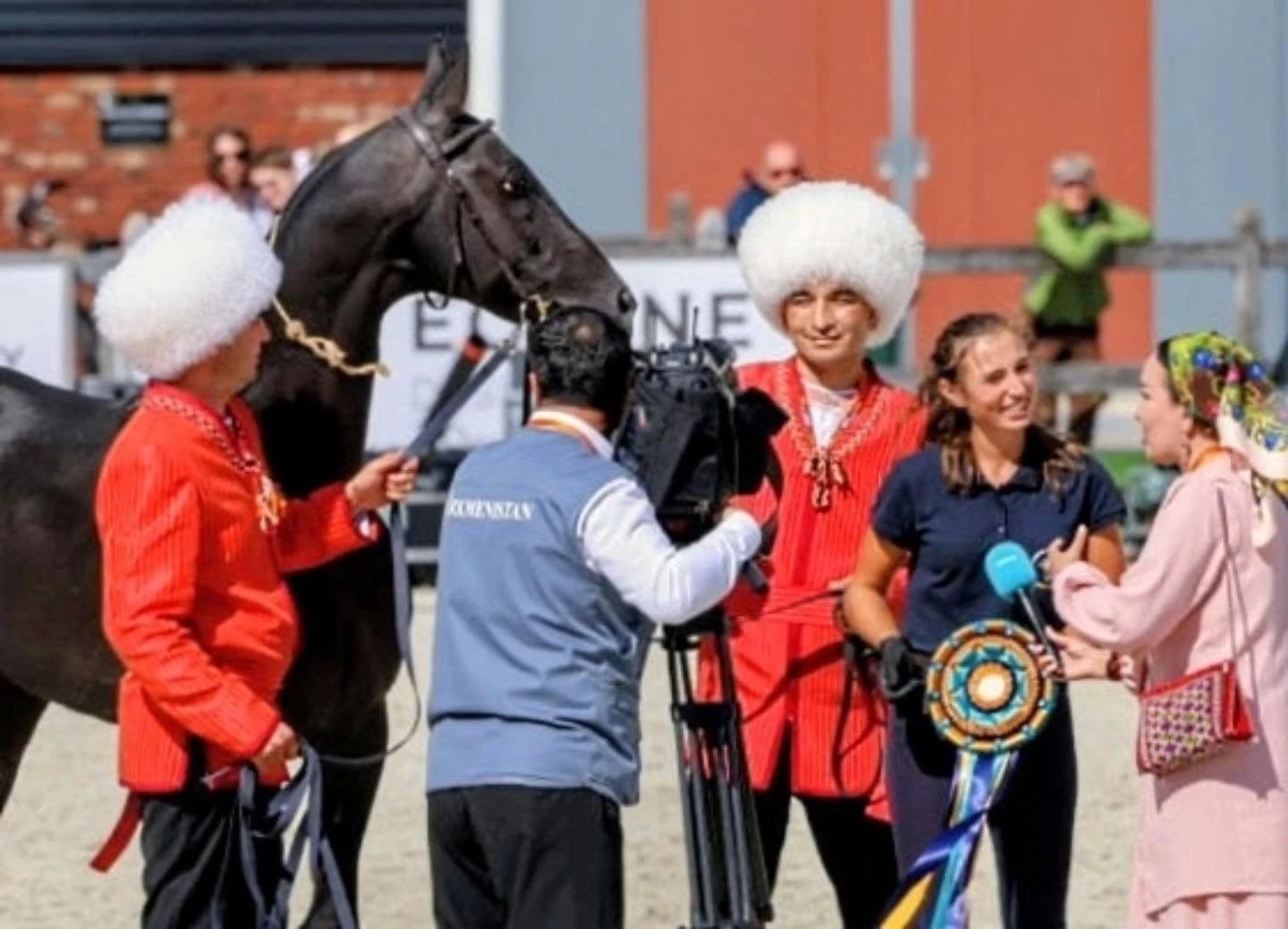2026 Peelbergen Akhal-Teke Championship
