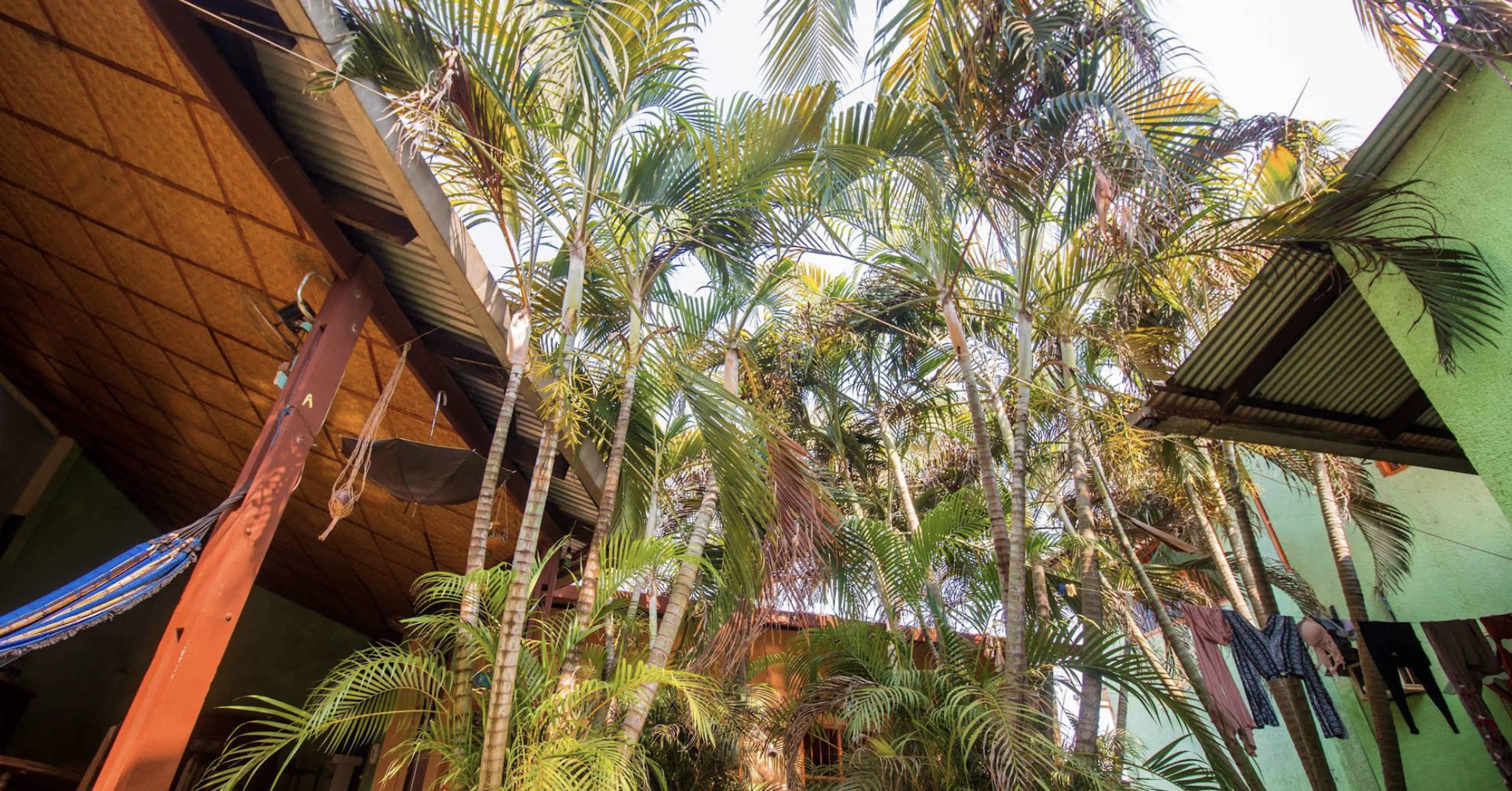 Sustainable Bolivia Coliving 