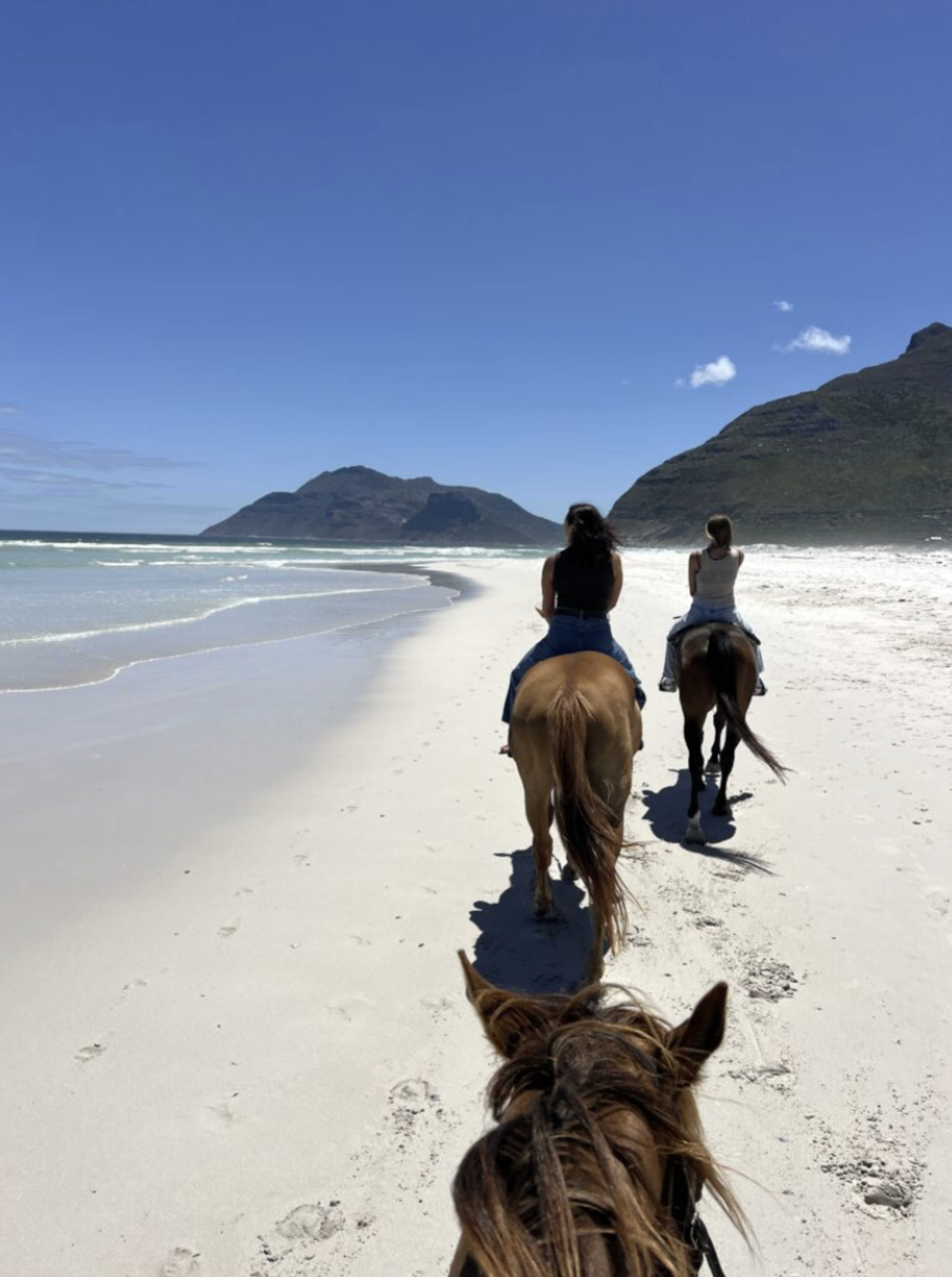 SandDunes - Cape Coliving Safari Day Trip