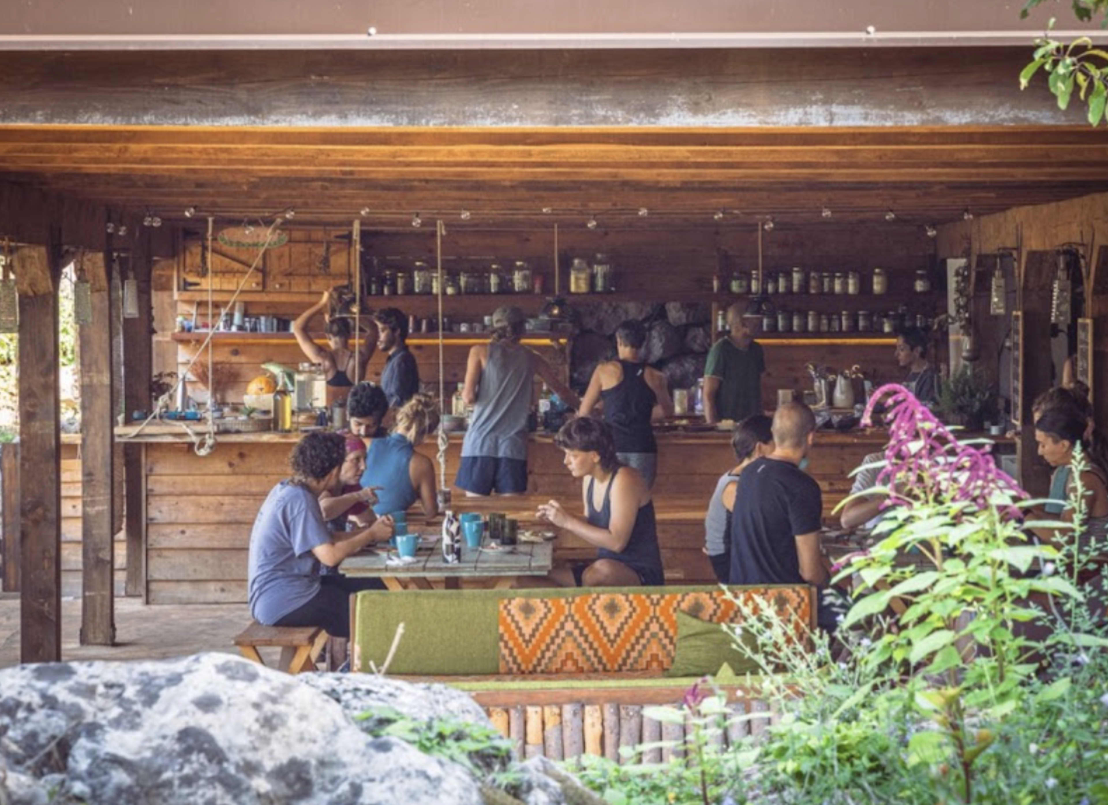 VibrationOfPeace - Pachamama Farm Retreat — Vibration of Peace Retreat