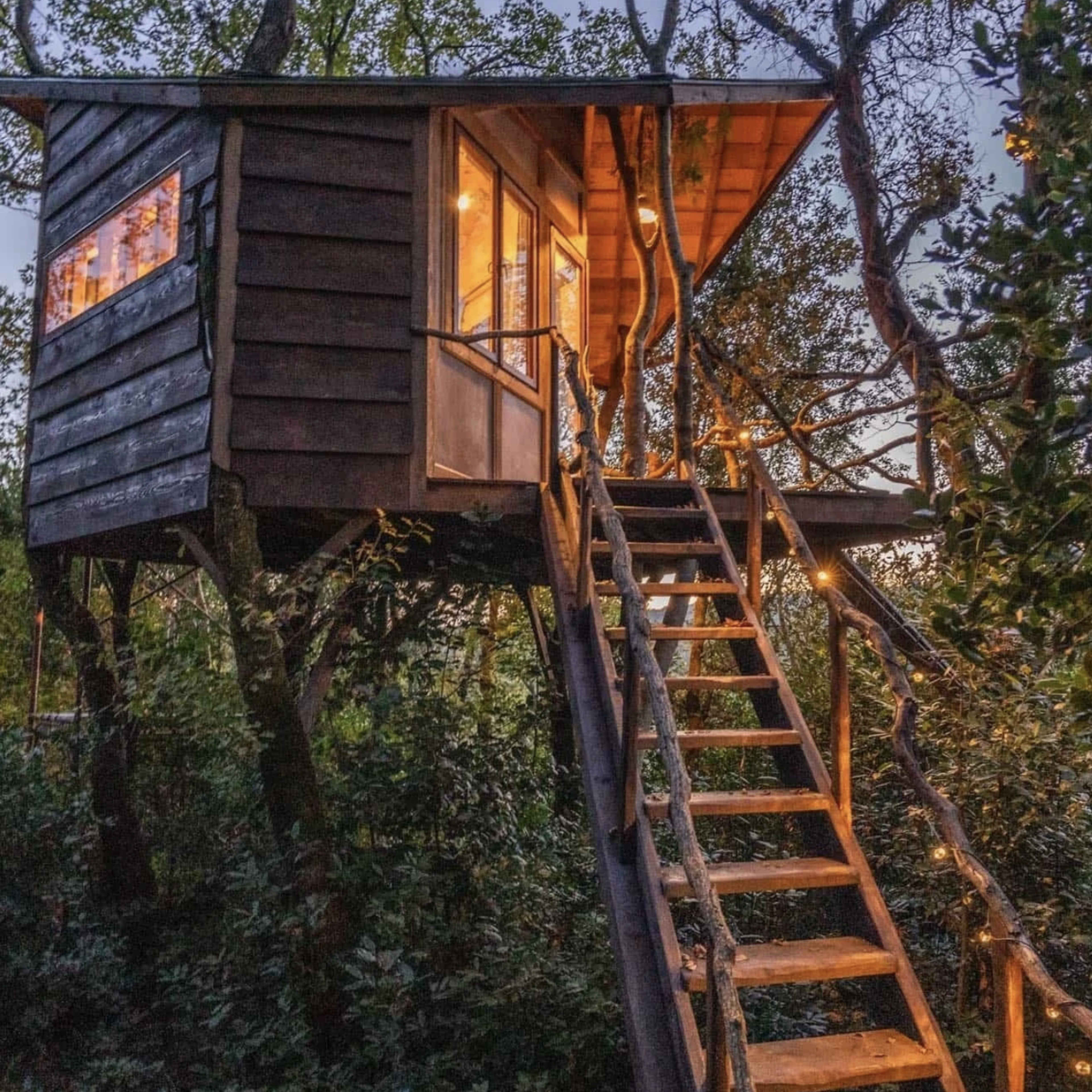 Pachamama Farm Retreat Coliving 