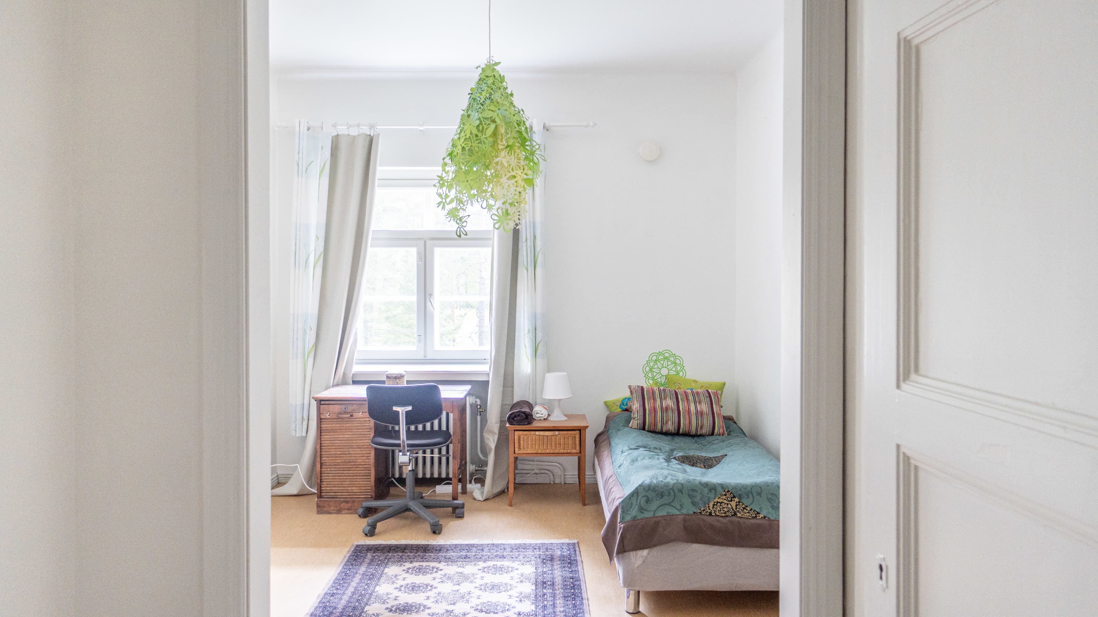 Enchanted Forest Coliving: Thrive, Connect & Unwind