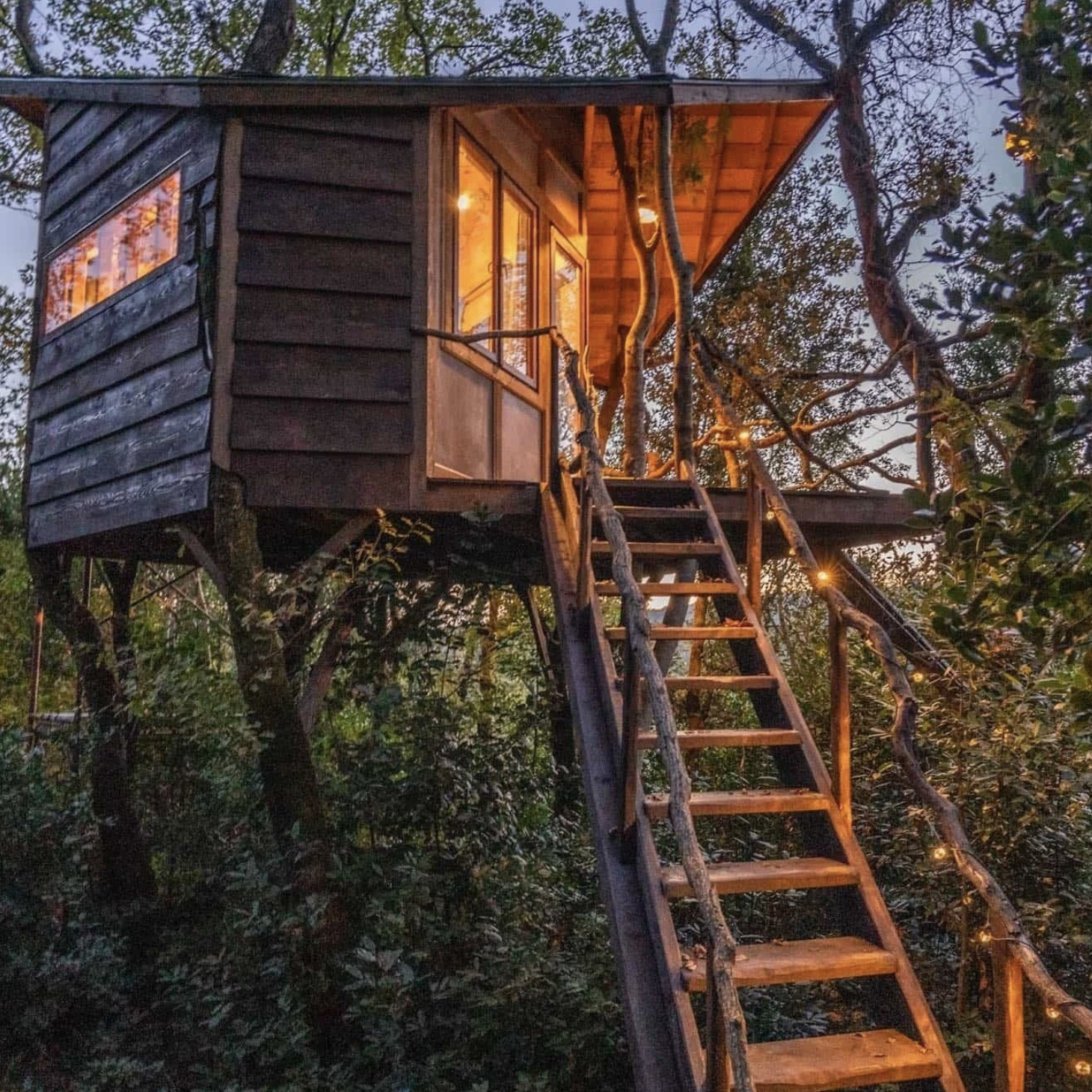 Pachamama Farm Retreat Coliving