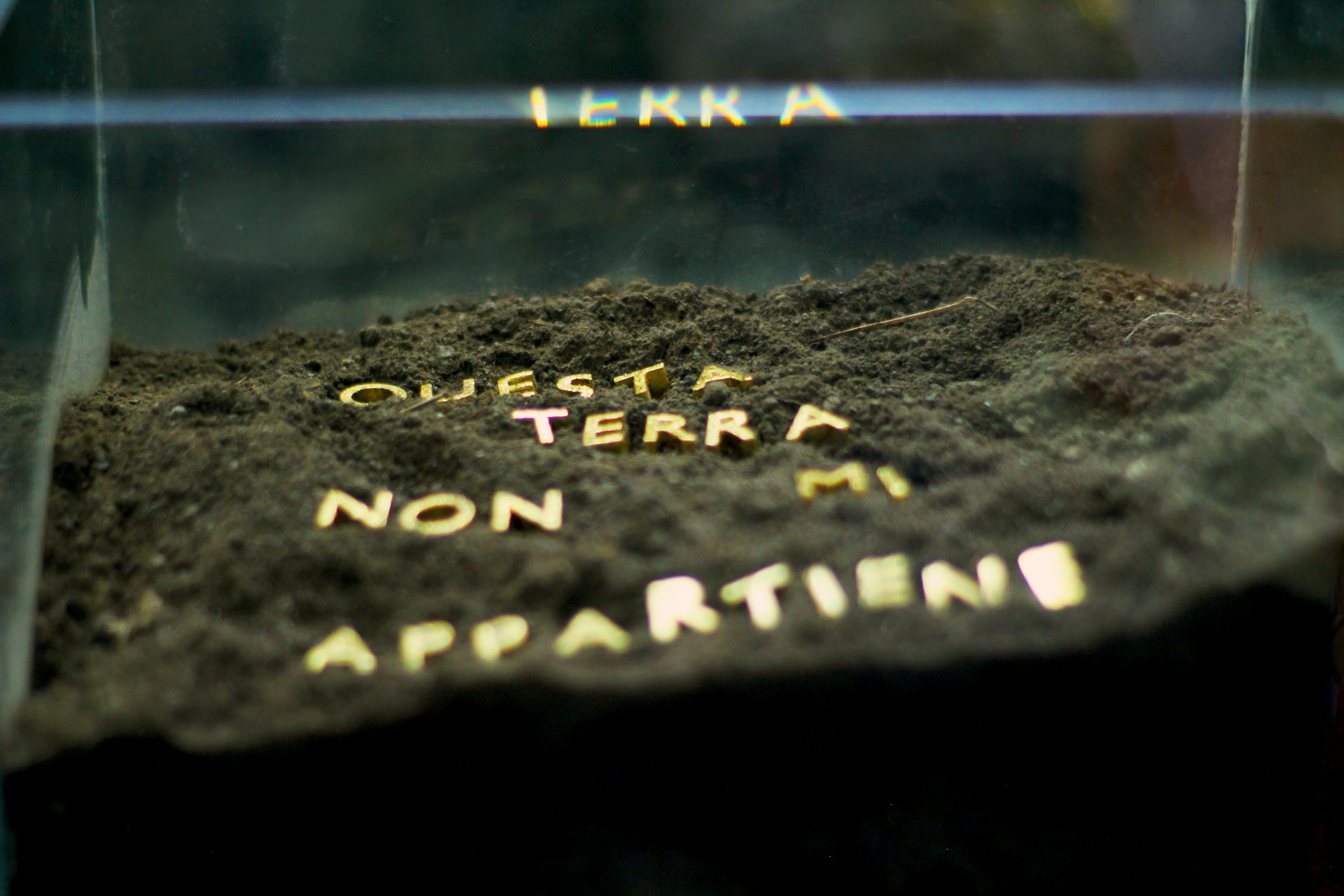 Opera Image