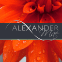 Alexander Mae  Ltd