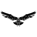 Black Eagle Defense