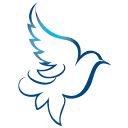 Dove Healthcare