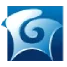 Gainwell Technologies LLC
