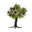 Okanagan Specialty Fruits