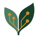Silvervine Software