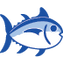 Southern Tide