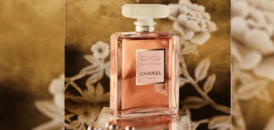 Top 10 most popular fragrancies you should try - undefined
