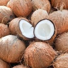 Fèves de coco