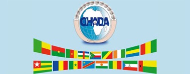 Logo OHADA et les drapeaux des pays membres