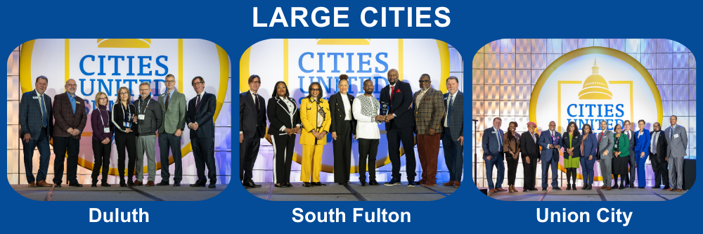 2025 Large City Visionary City Award winners.