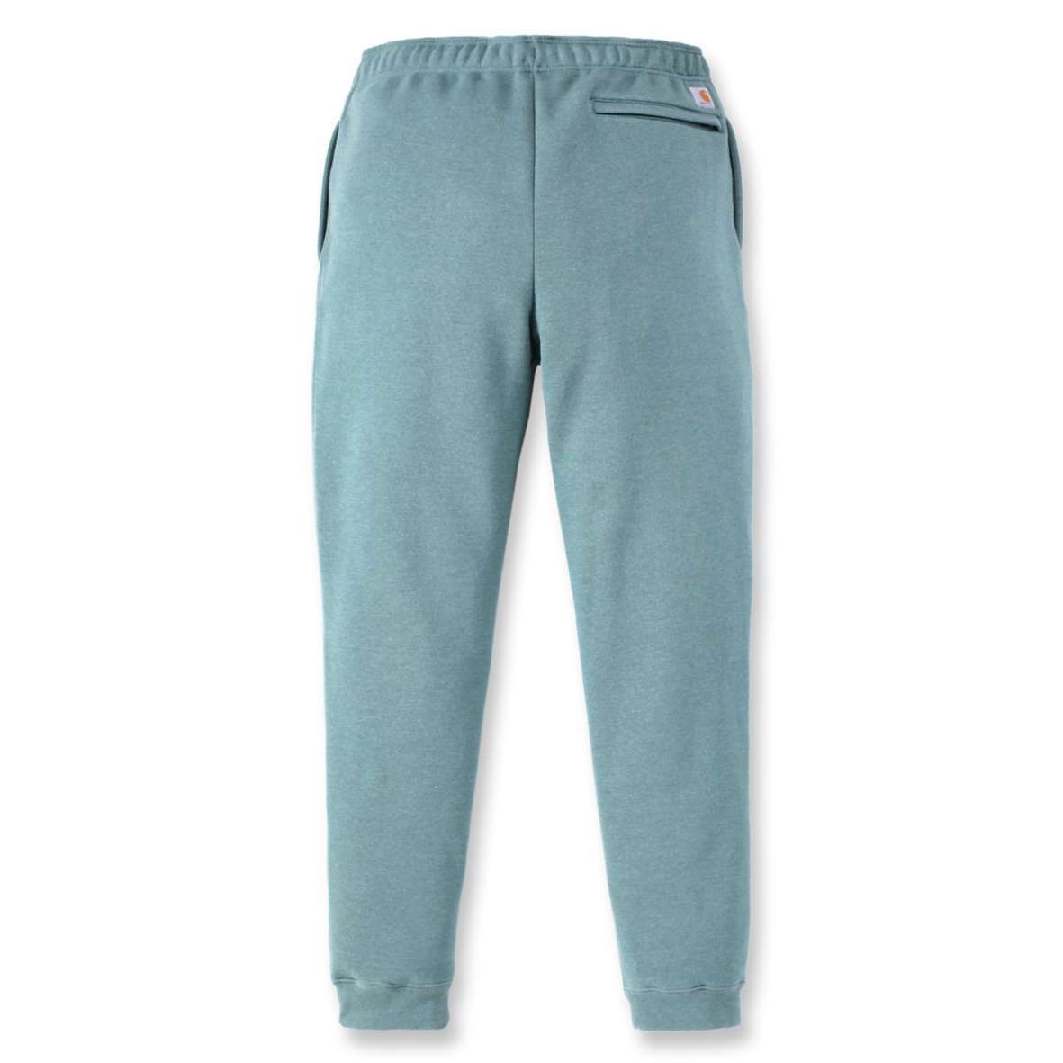 EU_105899_GE1_B EU_105899_GE1_B