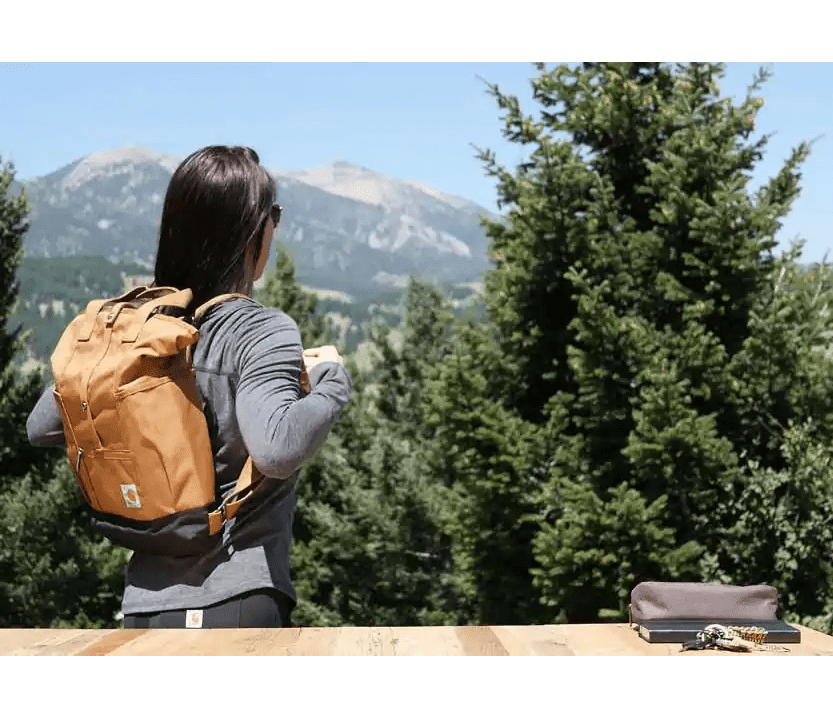 הורדה-6 הורדה-6