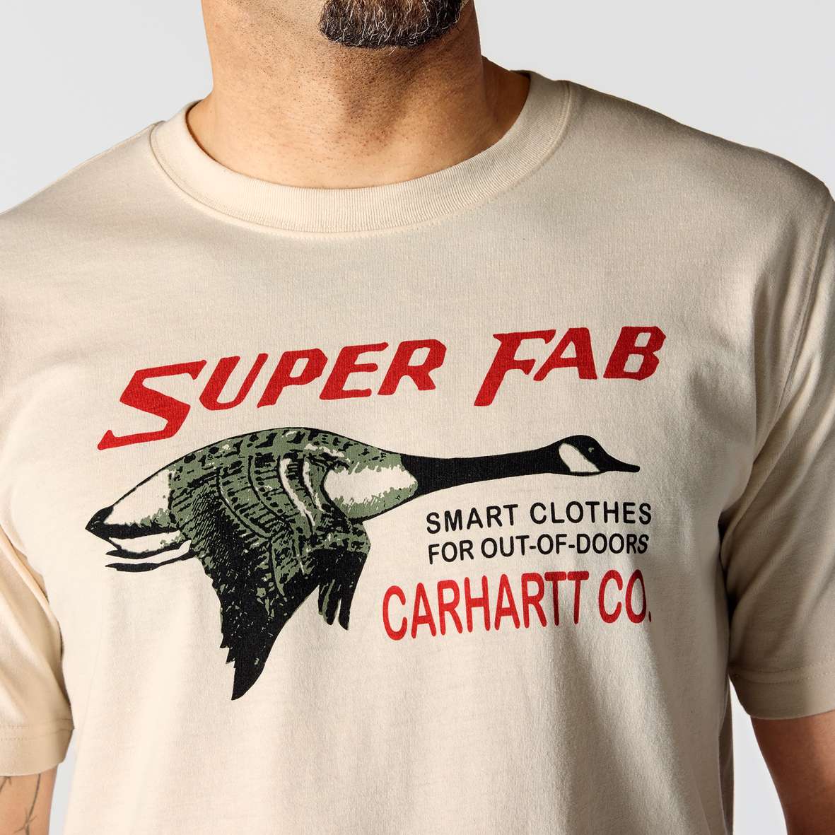 107050_A16_AVF1 107050_A16_AVF1