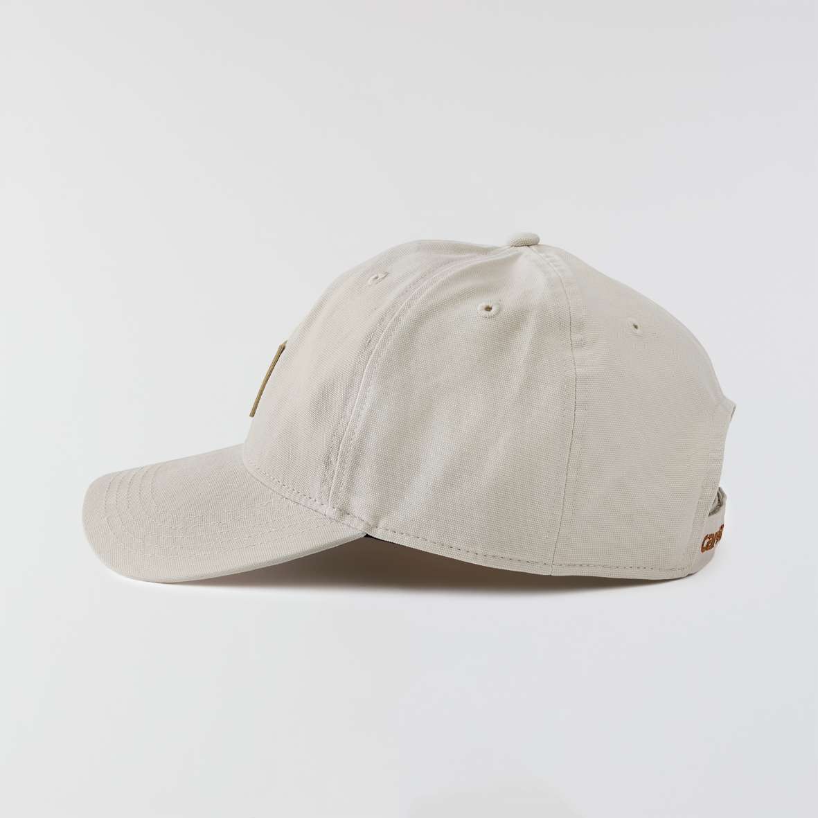 100289_EC0_AVF1 100289_EC0_AVF1