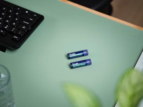 Vue 5 de Trust Piles Aa Rechargeables