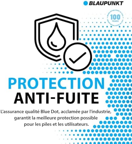 Vue 4 de Blaupunkt Aa Piles Alcalines