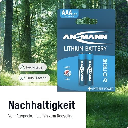 Vue 3 de Ansmann Pile Micro Aaa
