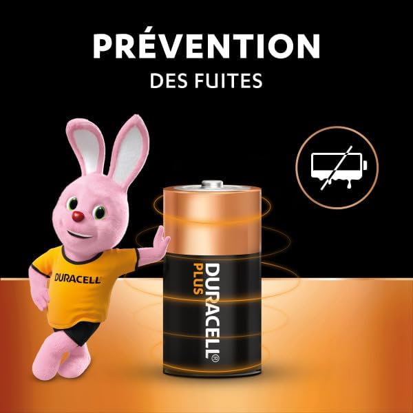 Vue 5 de Duracell Plus Piles