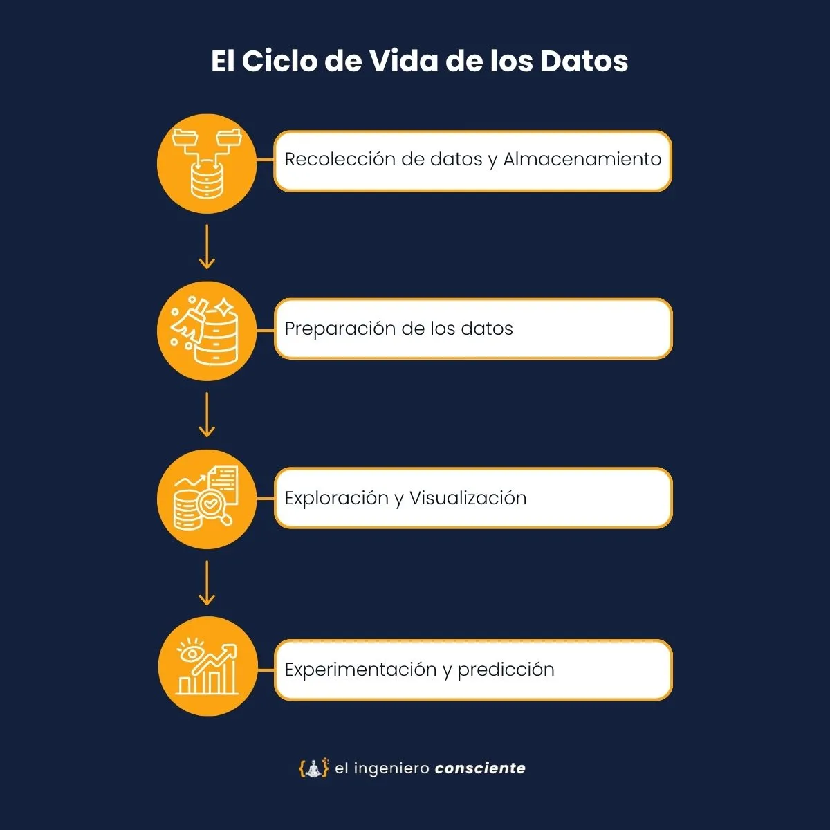 Ciclo de Vida de los Datos