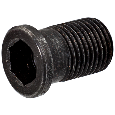 Tornillo hueco