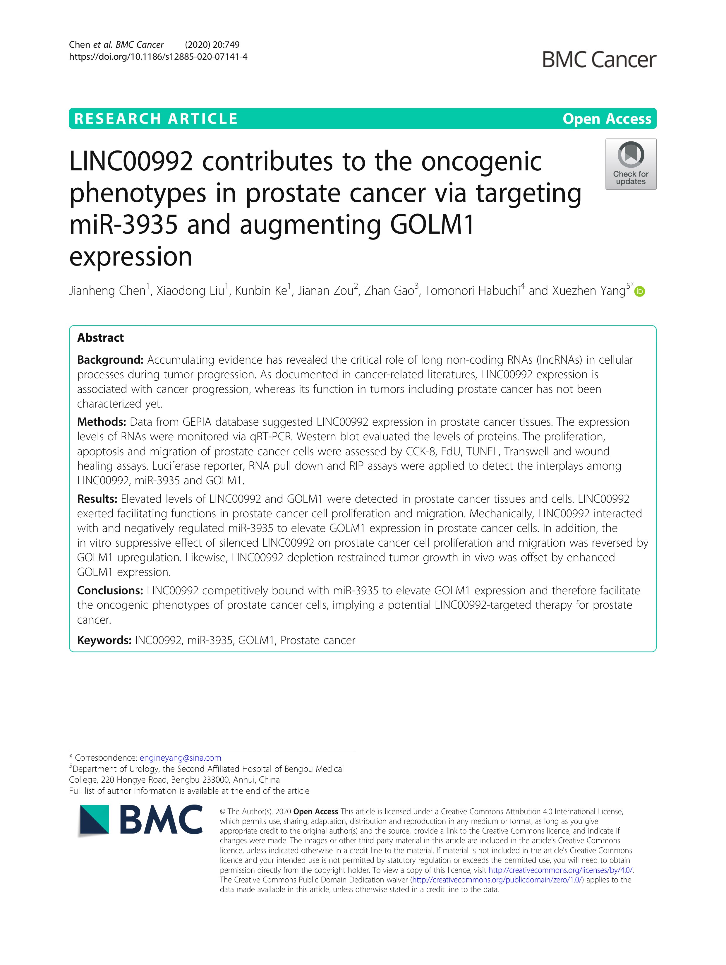 LINC00992 contributes to the oncogenic phenotypes in prostate cancer via targeting miR-3935 and