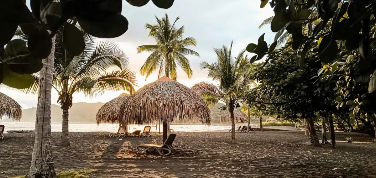 Palm-lined dark-sand Pacific beach at Cambutal on Panama's Azuero Peninsula, near Sansara