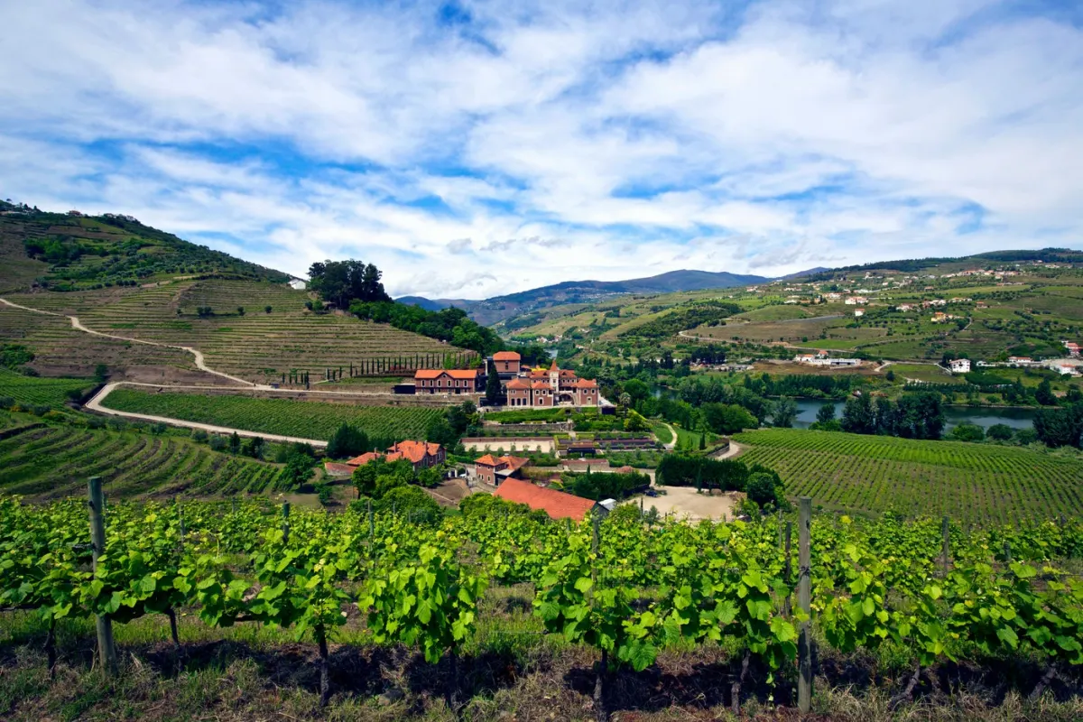 Six Senses Douro Valley manor among terraced vineyards, a slow travel destination in Portugal