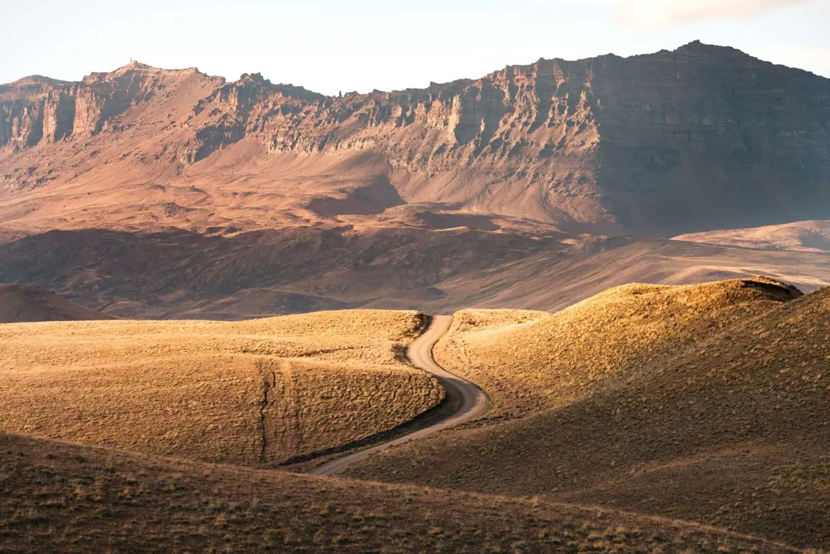 A gravel road winding through the golden Patagonian steppe near Torres del Paine