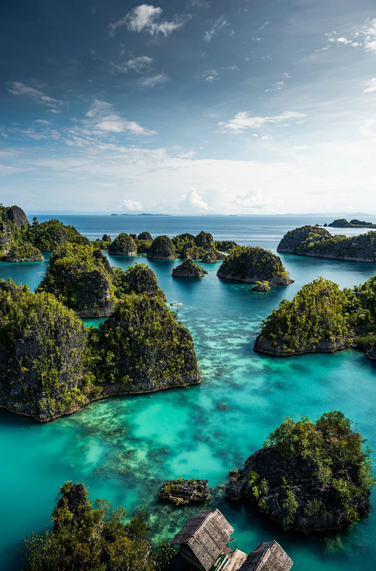 Limestone karst islands rising from turquoise water in Raja Ampat