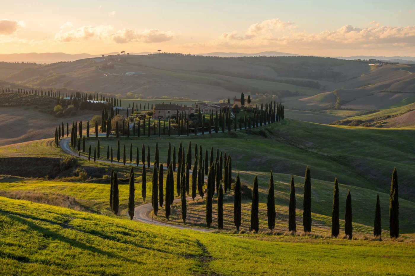 Cypress-lined road winding through golden Val d'Orcia hills at sunset, Tuscany