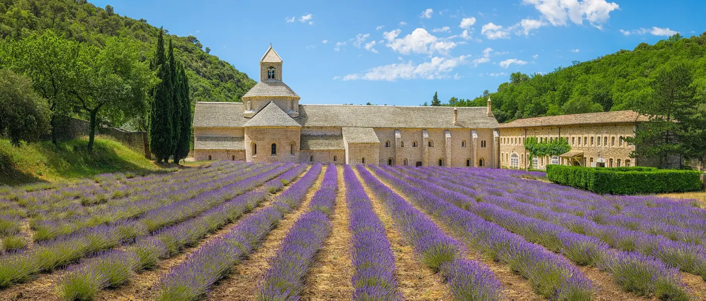 Provence lavender fields in peak bloom before the Abbaye de Senanque near Gordes