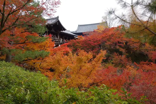 Autumn leaves around the Tsutenkyo bridge at Tofuku-ji temple, Kyoto, Japan fall foliage 2026