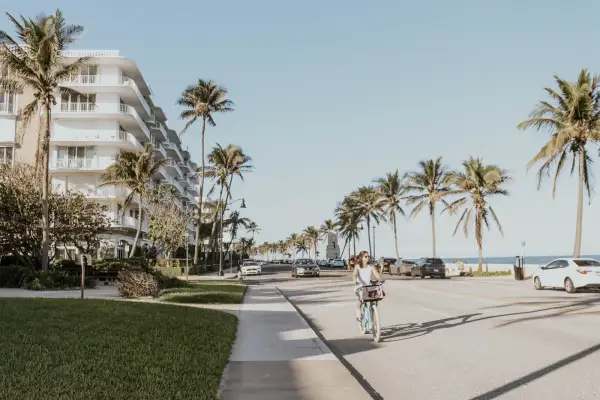 Palm-lined oceanfront road in Palm Beach, Florida