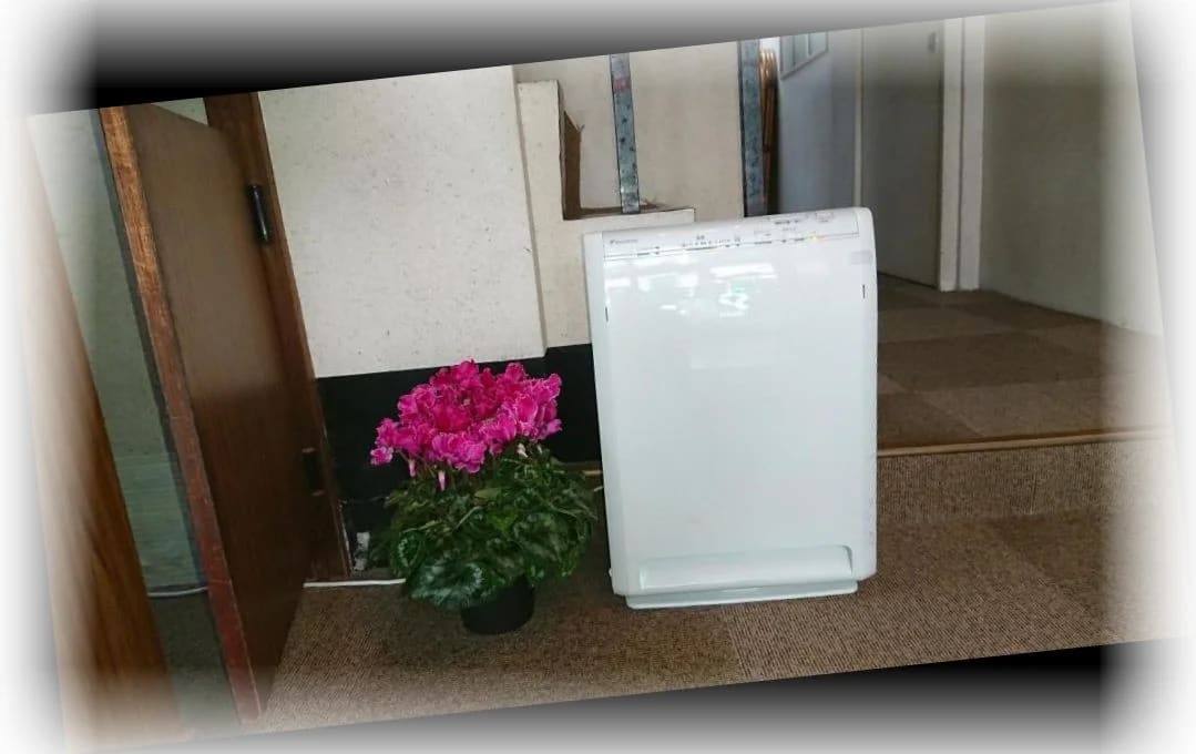 카스가_료칸_호텔_로비