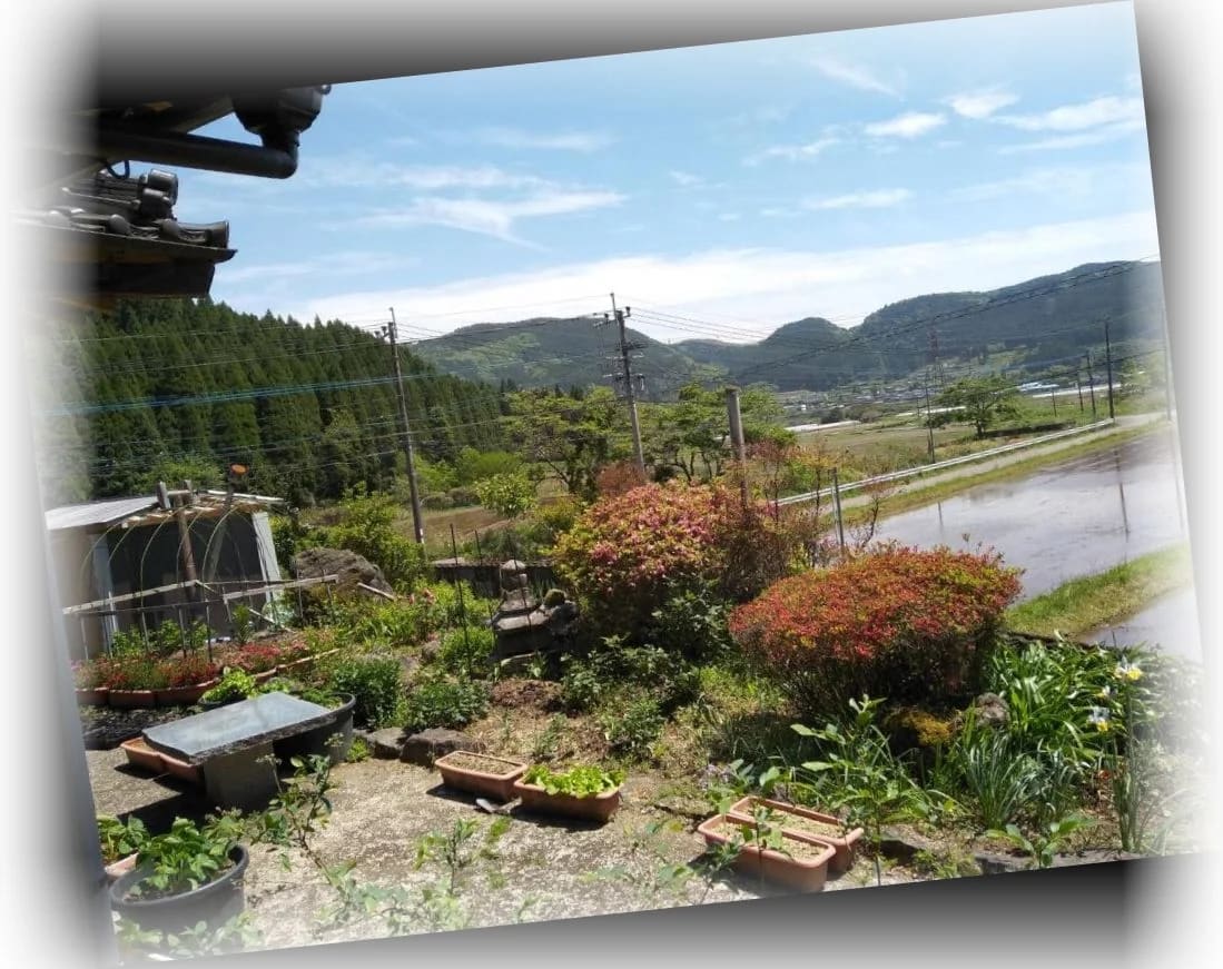 코코치_하우스_이미지_14