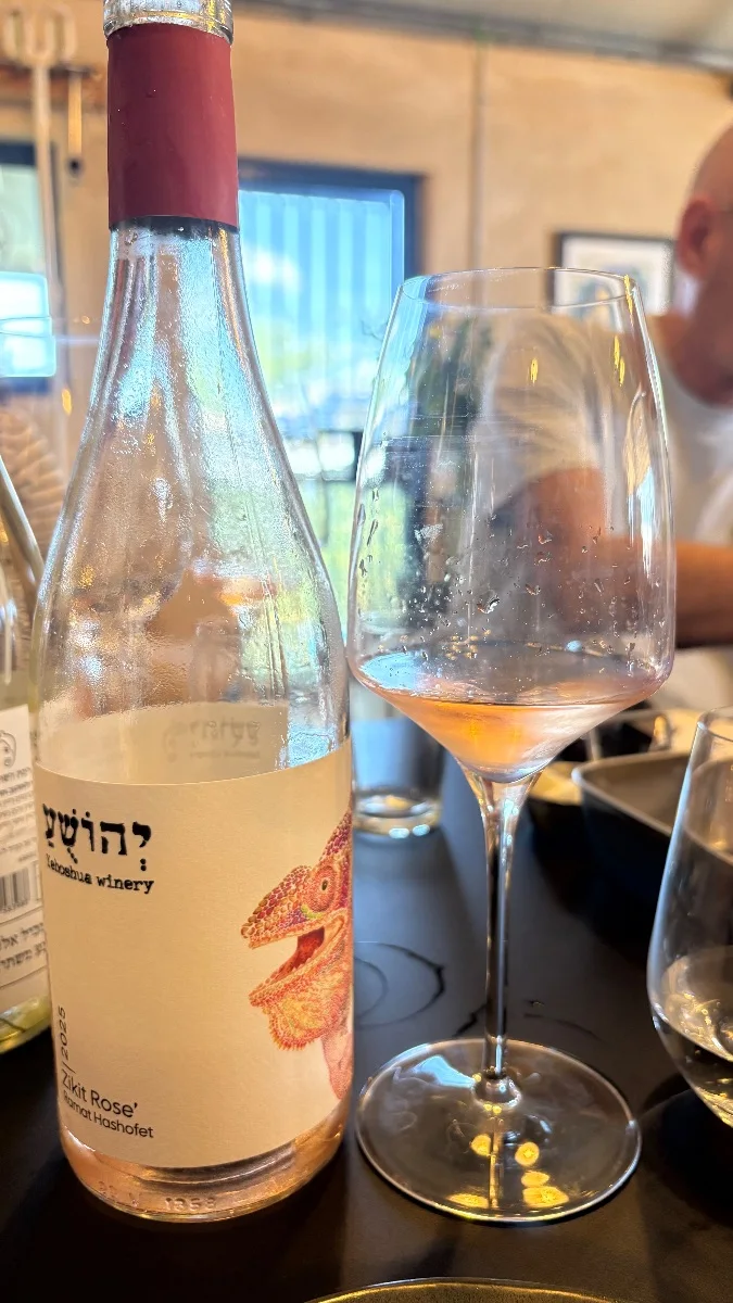 תמונת ביקורת